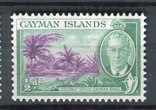 CAYMAN ISLANDS; 1950 early GVI Pictorial issue fine MINT MNH Unmounted 1/2d. 