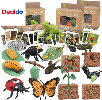 Life Cycle Learning & Education Toys,Montessori Toys Figurines for Frog, Butterf