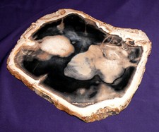 Legno Pietrificato Sweet Casa, 1122g 213x205x14mm Caminetto Forno Deco Piatto