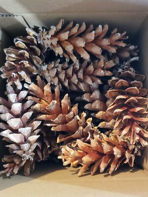 25 Pommes De Pin Blanches Géantes - Pour Décorations Noël, Artisanat, Fait Main Aux États-Unis