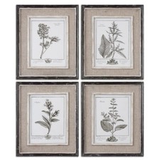 Uttermost Casual Grey Study Framed Art Set of 4 - 32510