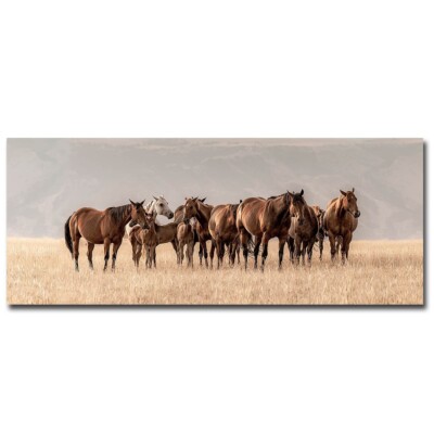 Montana Mares by Christy Berry Gallery-Wrapped Canvas Giclee Art (16 in x 40 in)