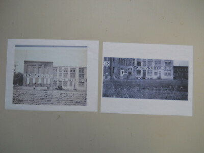 Sheaffer Pictures of early plant--Repro