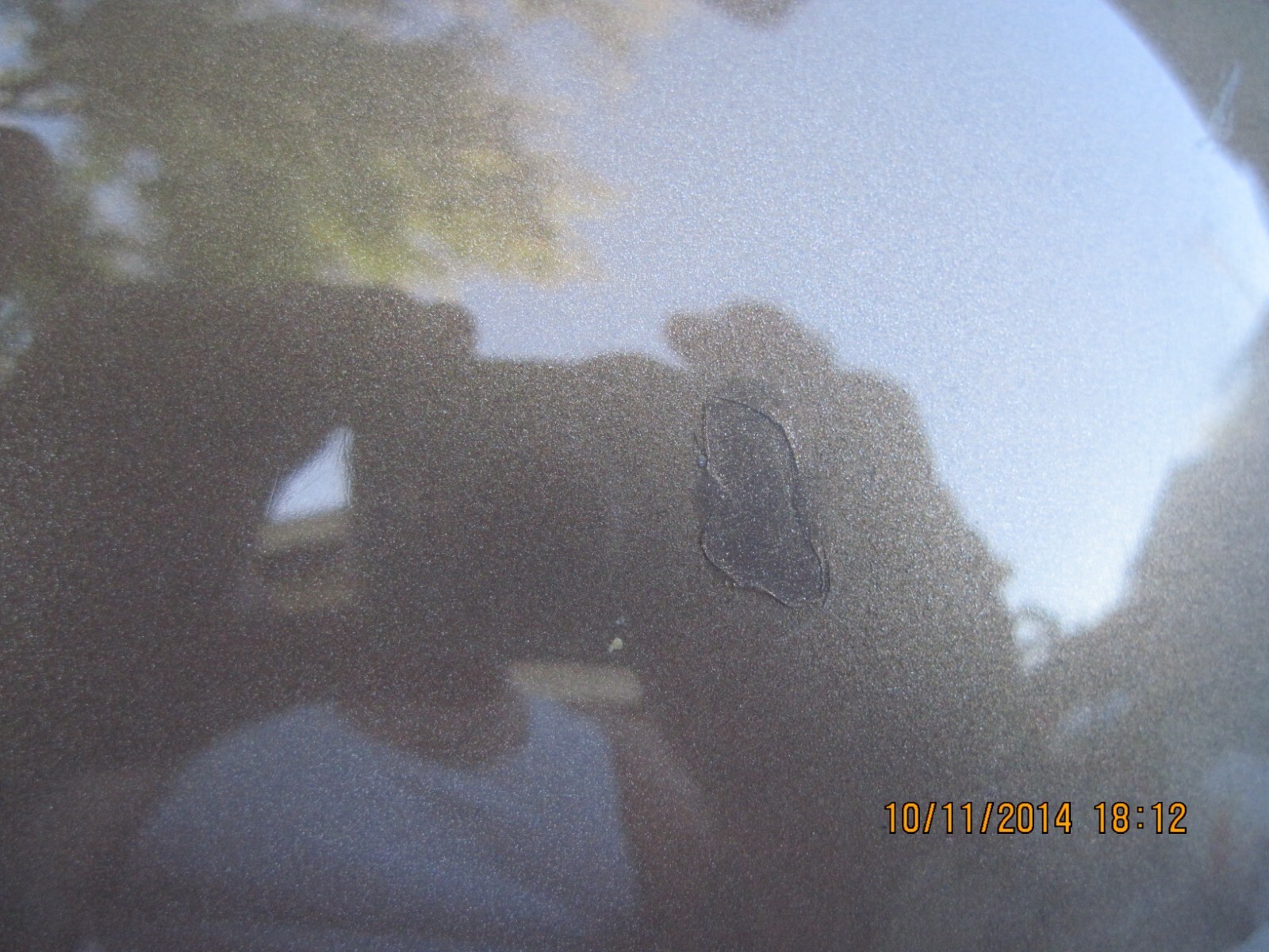 harley dyna 2004 used fxdx fuel tank " carburetor" eBay