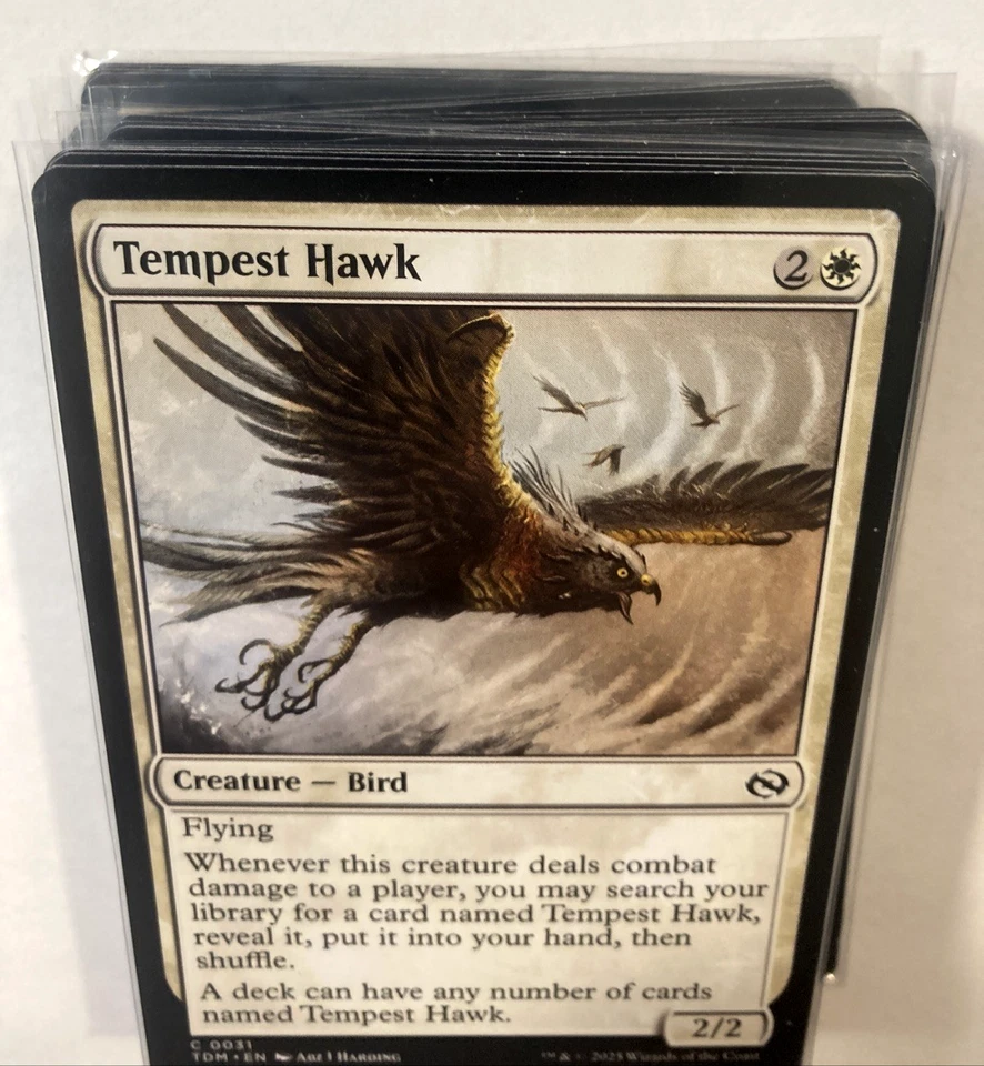 MTG Tempest Hawk Tarkir: Dragonstorm 50X Copies NM - Image 4 of 4