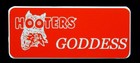 3 Hooters Uniform Name Tag Dress Up Bar Costume Extra Bat Girl Goddess Hotness — photo 4