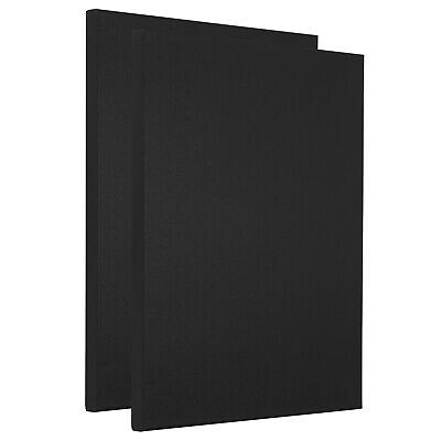 Paint Canvases, 2 Pack 14x11 Inch Square Stretched Art Board