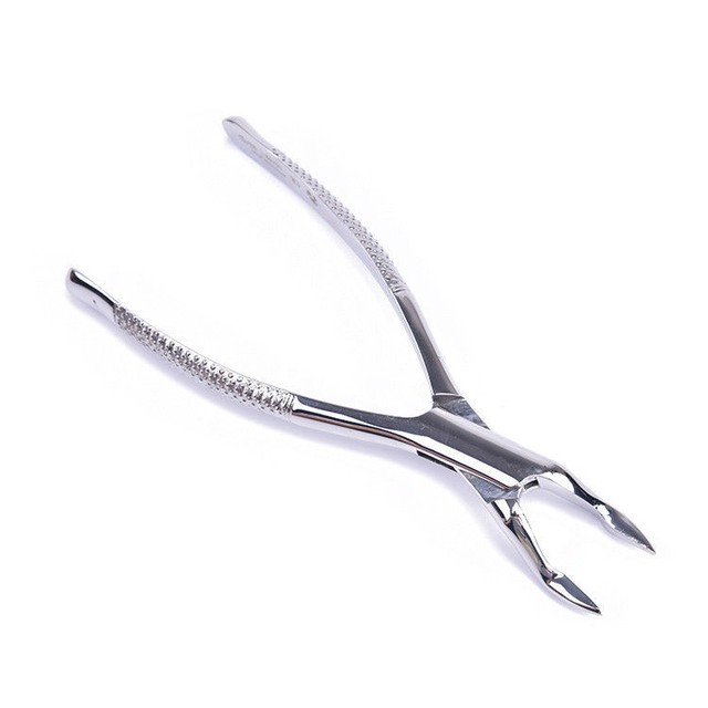 Root Forceps 32 Dental Extracting Roots Pick Forcep Tooth Extraction Instrument eBay