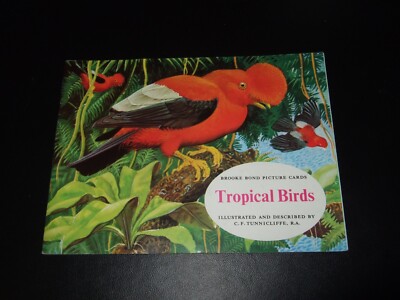 BROOKE BOND PG TIPS TEA CARD VINTAGE  TROPICAL BIRDS  EMPTY  ALBUM