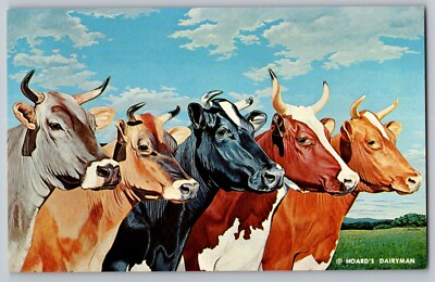 Postcard - Hoard's Dairyman - Five Queens