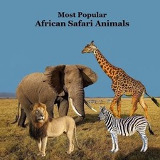 Kinsey Marie Billy  Most Popular African Safari Animals  (Paperback) (UK IMPORT)