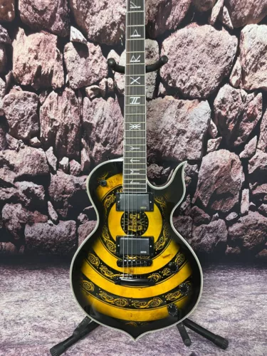 factory customization  electric guitar Wylde Audio totem top black hardware