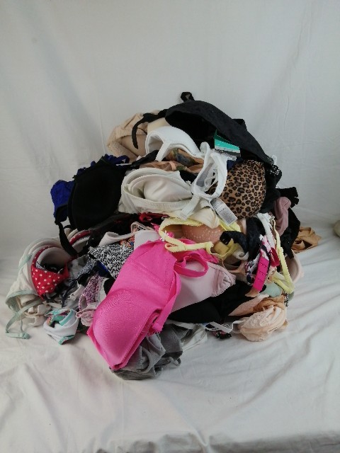 Bild 2 von 15