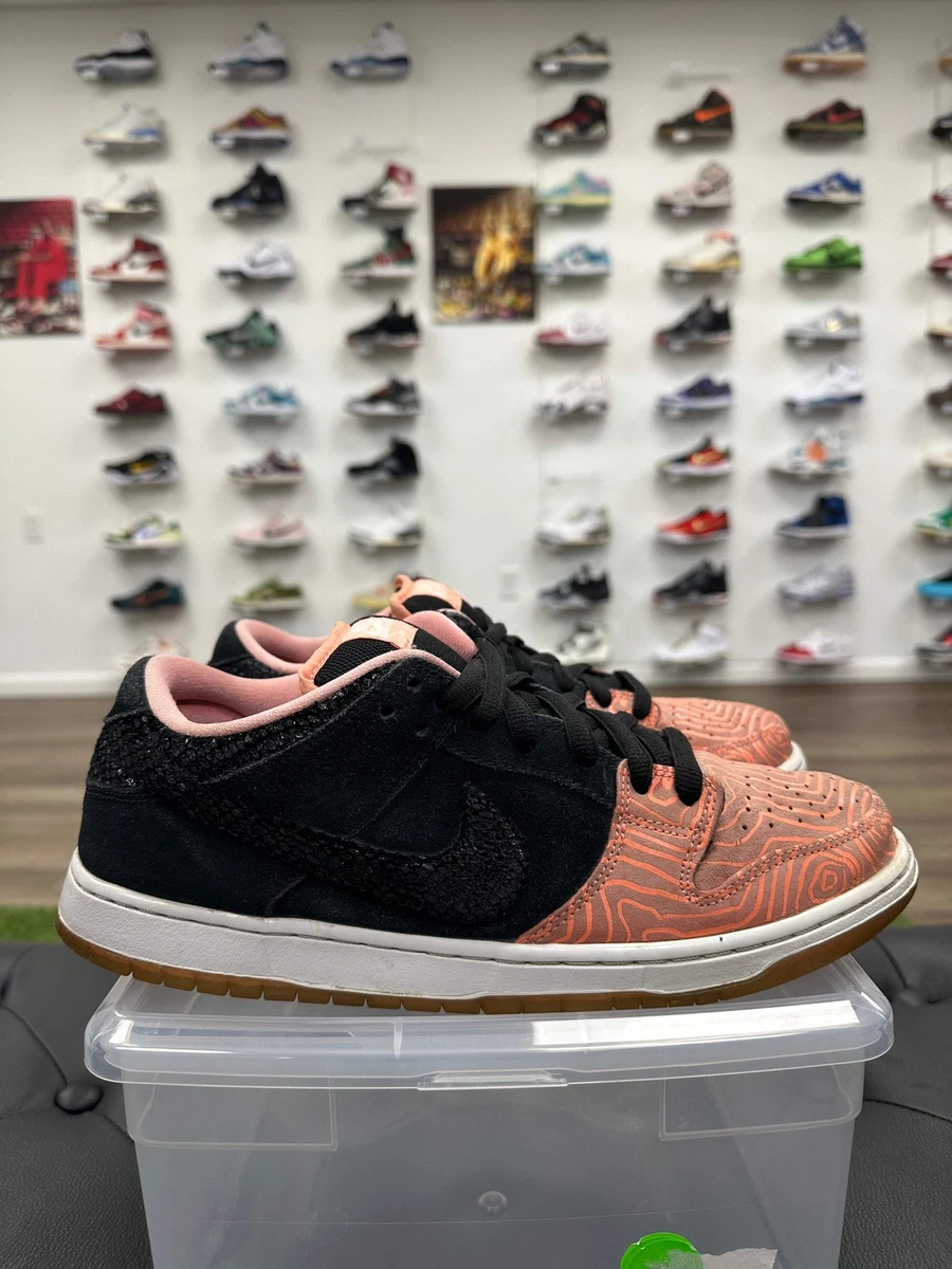 靴 Nike SB Dunk Low Premium Fish Ladder Nike Premier x Dunk Pro SB Low Fish Ladder - огромный выбор по