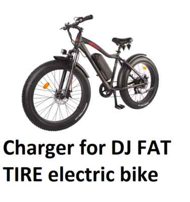 🔥Li-ion Lithium Battery Charger for DJ city mountain fat tire