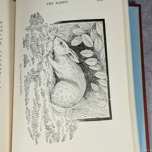 Science of Trapping E. Kreps 1909 Revised Edition Antique Book HC AR Harding - Picture 11 of 16