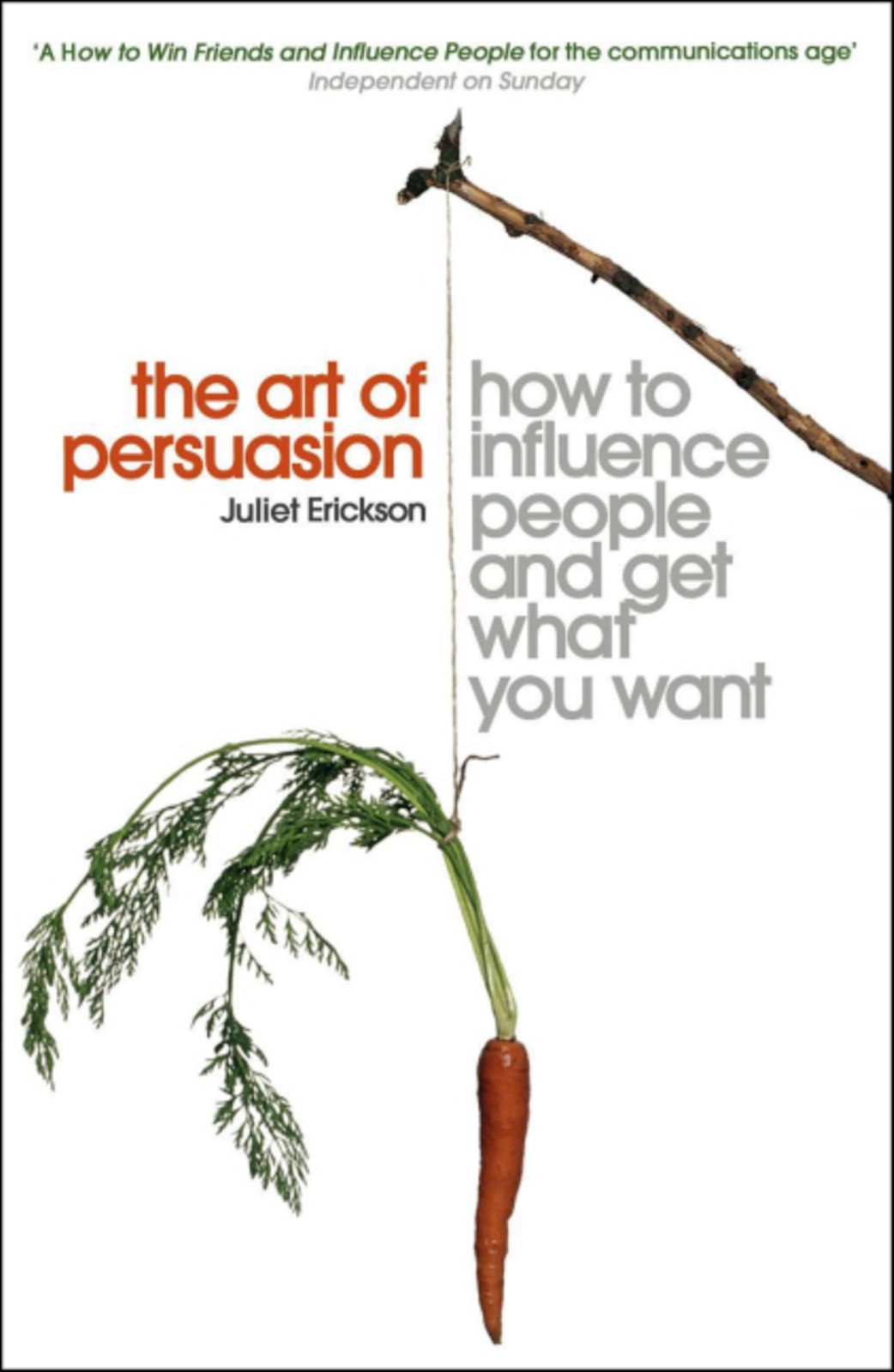 The Art of Persuasion by Juliet Erickson Business & Economics Paperback