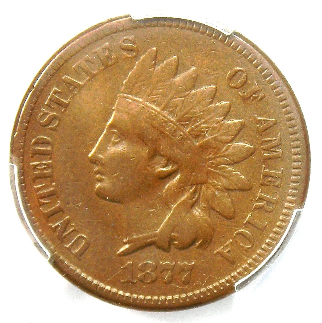 Circulated 1877 Year Indian Head Small Cents (1859-1909) for sale