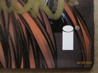 Bild 8 von 14