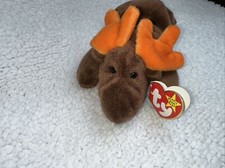 1993 Ty Beanie Baby Chocolate The Moose With  Goldie  Tush tag  Rare, Retired