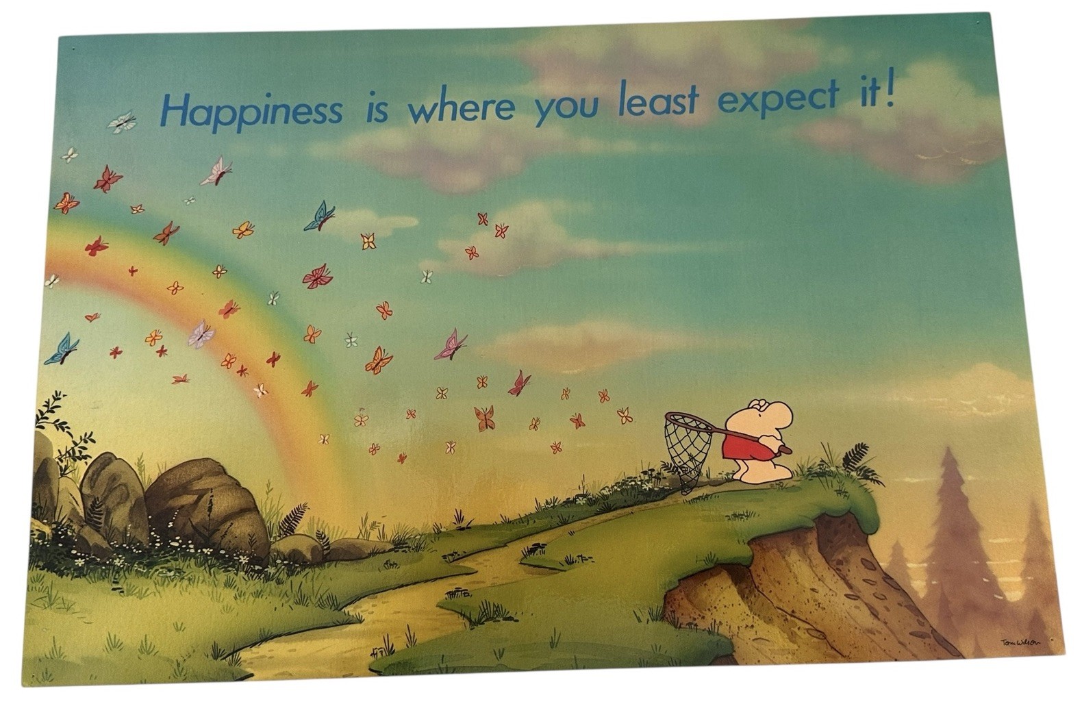 Ziggy Laminated Poster - Happiness Found in Unexpected Places - American Greeting