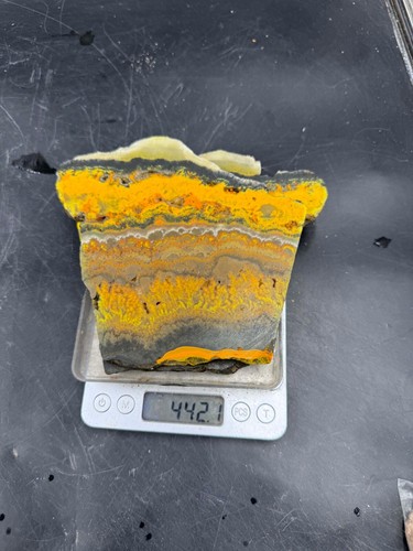 Bumble Bee Jasper slabs great plumes - Picture 5 of 6