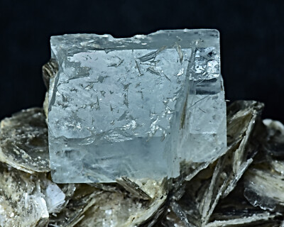 WOW Double Terminated Transparent Aquamarine Crystal On Muscovite Mica 73 Gram