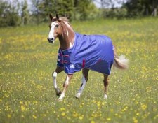 Tempest Original Air Motion Turnout  Rug