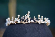 Crystal Tiara Crown: Bridal Wedding Diadem