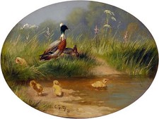 duck and ducklings Accent Tile Mural Kitchen Bathroom Wall Backsplash Ceramic
