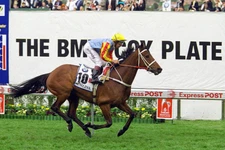 Horse Racing Sunline Winning The 2000 Cox Plate   4x6 Photo