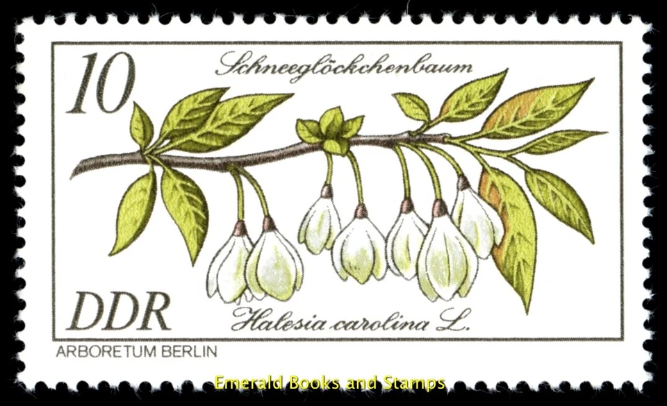 EBS East Germany DDR 1981 - Flowers- Rare Trees - Michel 2573-2578 - MNH** - Image 3 of 4