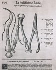 Surgeon 1614 Surgical Instruments Doctor Engraving Medicine Ambroise Paré
