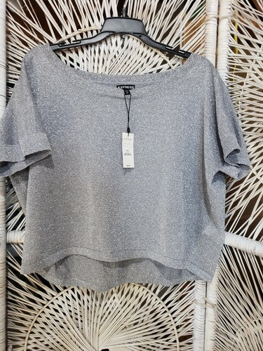 Express Silver Metallic Sweater - New 