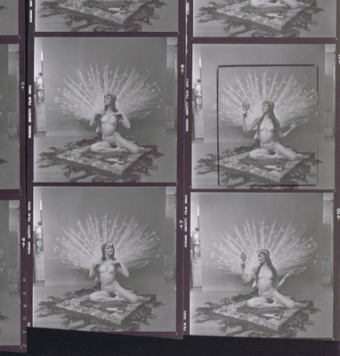 NEWLY FOUND! Hendrickson PHOTO Contact Sheet Proof & Negatives TOPLESS PEACOCK