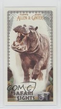 2020 Topps Allen & Ginter's Safari Sights Minis Hippo #SS-13 x0y