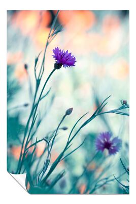 Lila Nelke Blume Künstlerisches Poster Wandbild Wohndeko