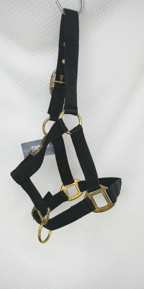 Catago Halfter Nylonhalfter 2fach verst.Fohlen Mini Shetty +Pony Fohlen schwarz - Bild 2 von 4