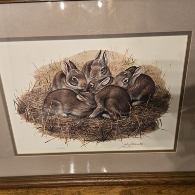 Baby Rabbits Framed Wall Art Ltd. Edition Signed JOHN SHAW '86 And Numbered 