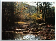 Abraham Lincoln Birthplace NHS - Knob Creek Farm in Autumn - Kentucky