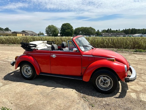 1979 Volkswagen Beetle Convertible - Rare Karmann Cabrio! - Picture 5 of 16