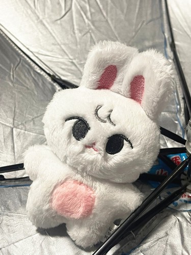 NCT127 Edizione Speciale Peluche Bambola Portachiavi Taeyong HAECHAN DoYoung Doll Pendenti - Foto 8 di 19