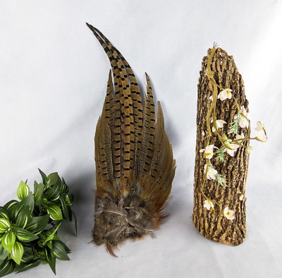 18'' RINGNECK PHEASANT Tail bird crafts feather Taxidermy Oddity Curiosity