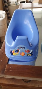 chicco potty