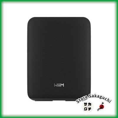 WiiM Sound Lite Wireless Smart Speaker 100W Hi-Res AI RoomFit Wi-Fi 6 Black