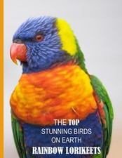 The Top Stunning Birds On Earth Rainbow Lorikeets: Discover the Mesmerizing Bird