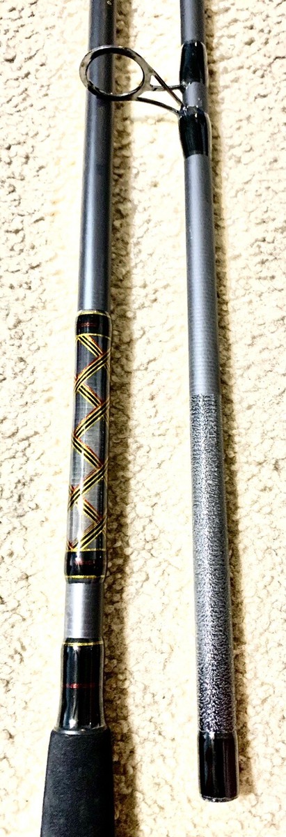 The PENN Squadron III Surf rods 2pc 10’0” graphite composite heavy-Mod