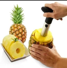 Stainless Steel Pineapple Peeler Corer Slicer Fruit Cutter Easy Twist Tool