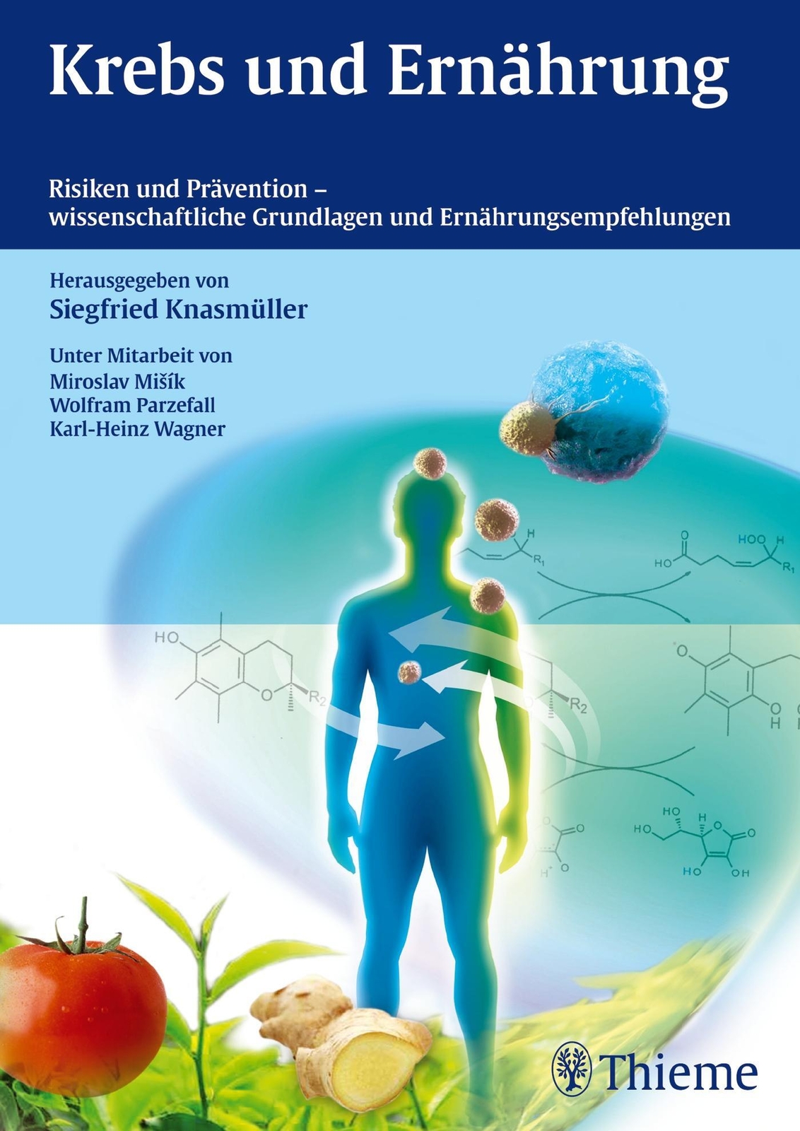 Krebs Und Ernährung | Siegfried Knasmüller | Deutsch | Buch | 436 S. |