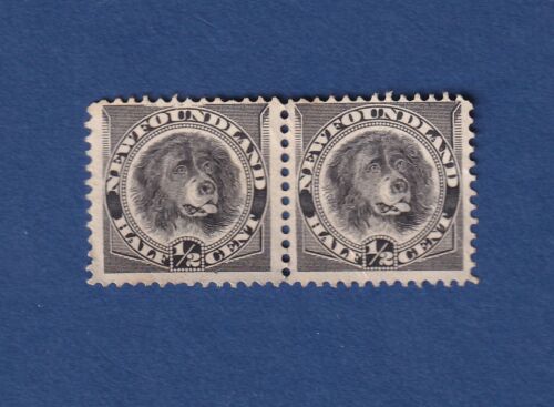 Newfoundland stamps #58 1/2 c x 2, Newfoundland dog F/ unused NG